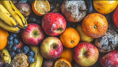 Webinar - Food Waste and Sustainability