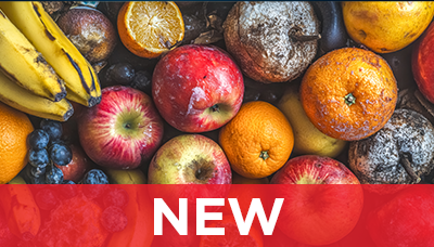 Webinar - Food Waste and Sustainability